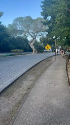 WhatsApp Video 2026-01-28 at 10.46.35 AM (2)