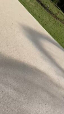 WhatsApp Video 2026-01-28 at 10.46.35 AM